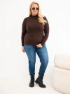 Women's Plus Size Viscose Sweater with Turtleneck dark brown