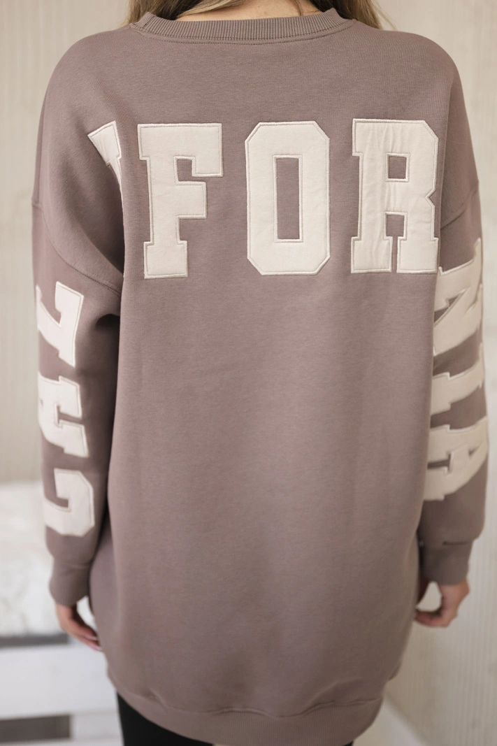 Izoliuotas džemperis su Kalifornijos užrašu mocca