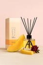 Melon 120 ml – Raumduft