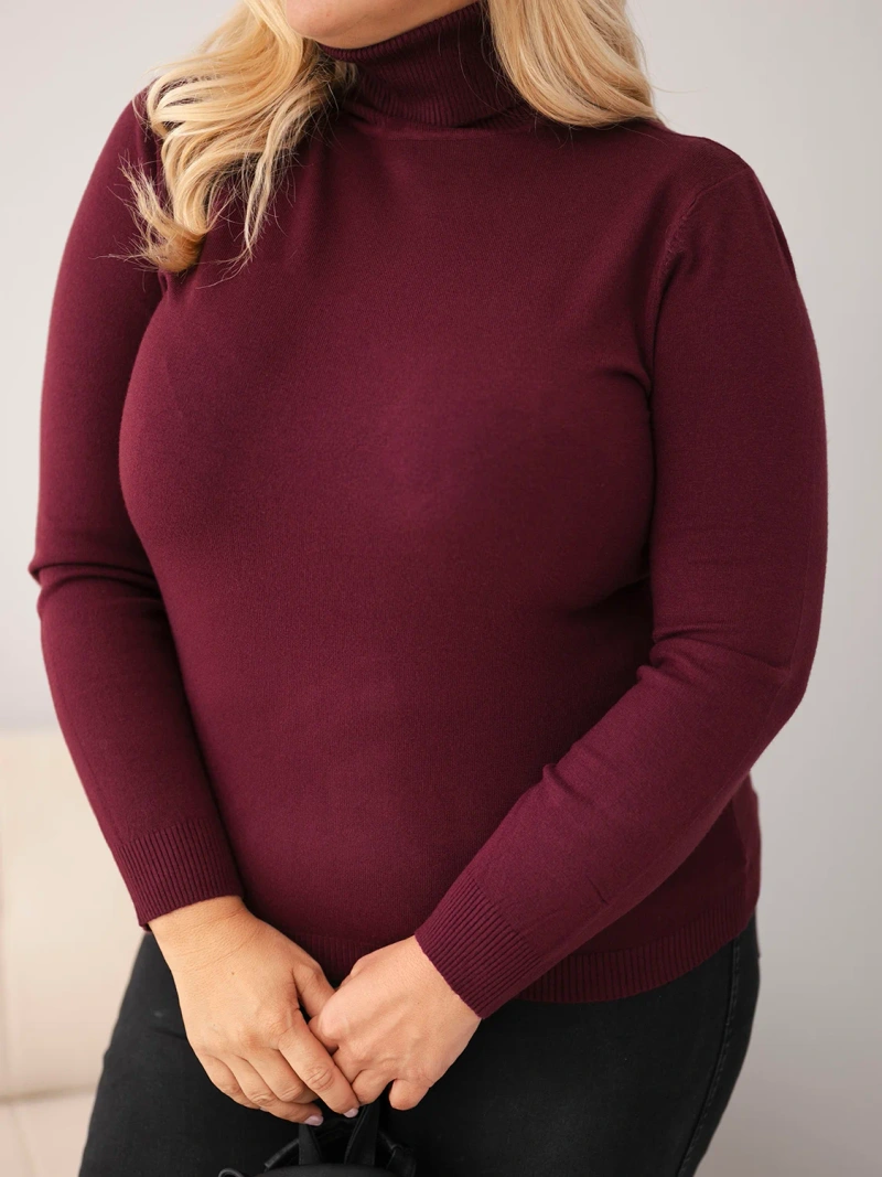 Damen Viskosepullover Plus Size mit Rollkragen in klassischem Schnitt pflaume
