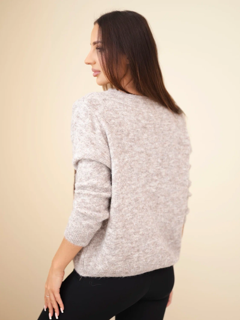 Women's sweater with dachshund pattern and round neckline beige melange