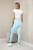 Pants cargo mint
