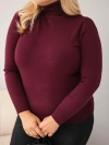 Damen Viskosepullover Plus Size mit Rollkragen in klassischem Schnitt pflaume