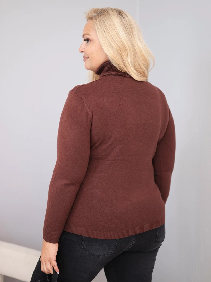 Women's Plus Size viscose sweater with a turtleneck in a classic cut dark brown