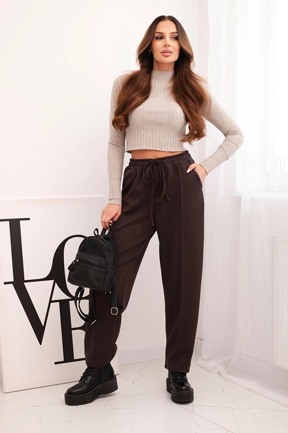 Elegant women's high-waisted trousers with a tie at the waist brown