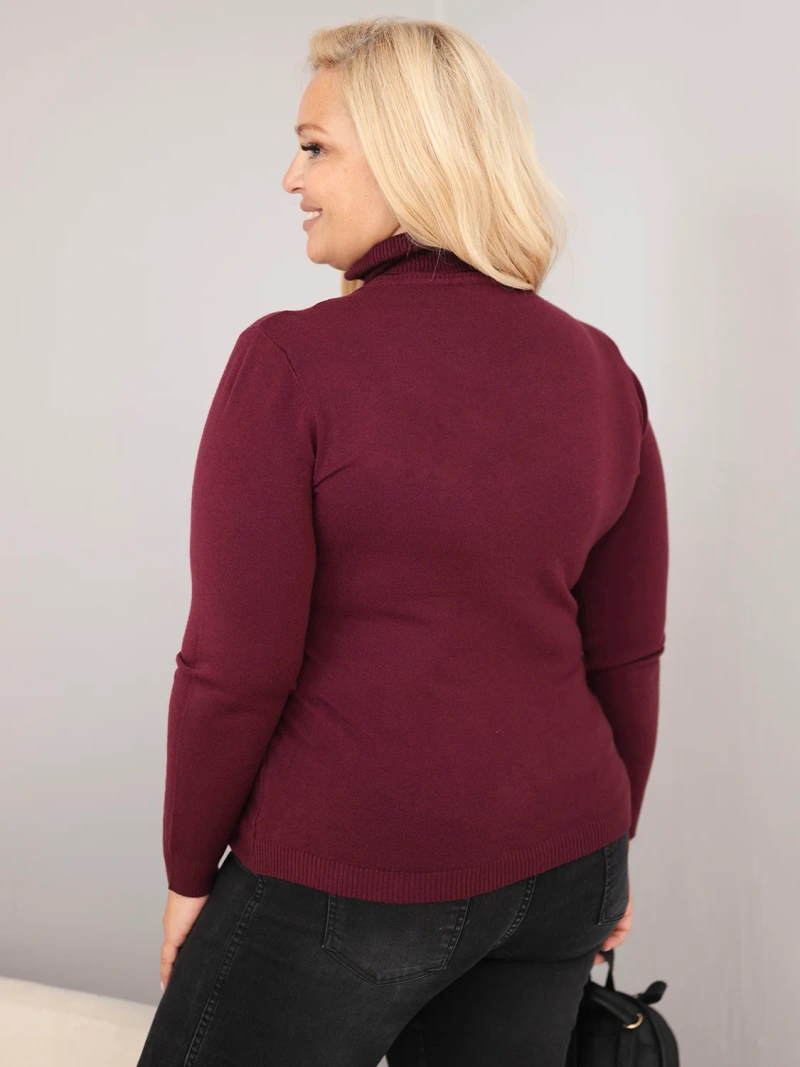 Damen Viskosepullover Plus Size mit Rollkragen in klassischem Schnitt pflaume