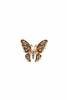 Brooch Butterfly BZ-6 multicolor